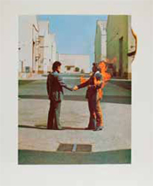 PINK FLOYD STORIE E SEGRETI - cap. Wish You Were Here