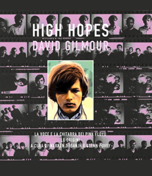 HIGH HOPES  -  DAVID GILMOUR  La voce e la chitarra dei Pink Floyd. Le origini
